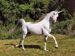 unicornio