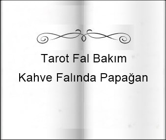 Kahve Falinda Papagan Gizli Ilim Ve Insan