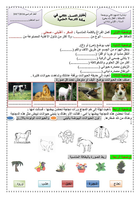 امتحانات السنة الاولى ابتدائي الجيل الثاني Document-page-003