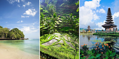 paysage naturel de Bali