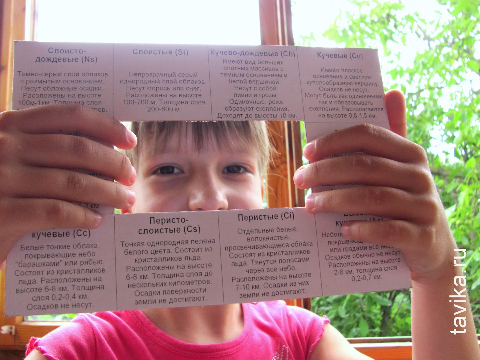 Скачать Фото Определитель