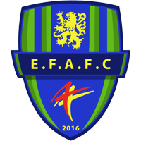ENTENTE FEIGNIES AULNOYE FC