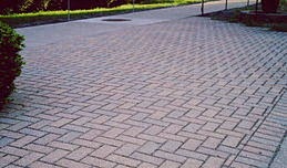 http://mightyeco.blogspot.com/2014/04/eco-sidewalks-in-netherlands-eat-urban.html