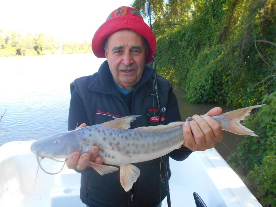 Sobre la pesca el deporte