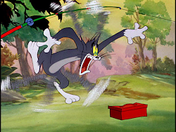 cat fishin tralfaz tom gone