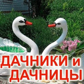 ДАЧНИКИ и ДАЧНИЦЫ