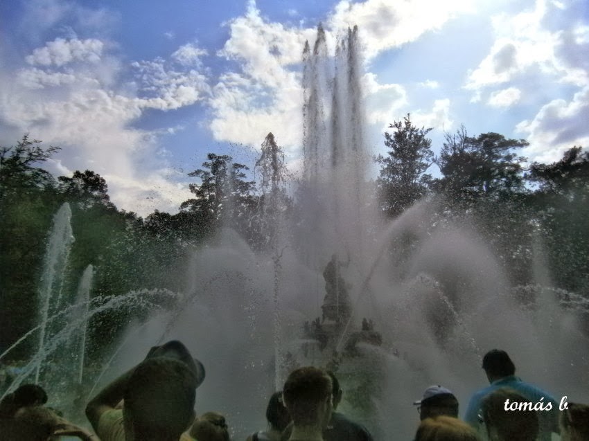 FOTOGRAFIAS: Jardines del Palacio de La Granja, fuente de las ranas
