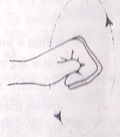 hand-yoga-exercise-in-hindi