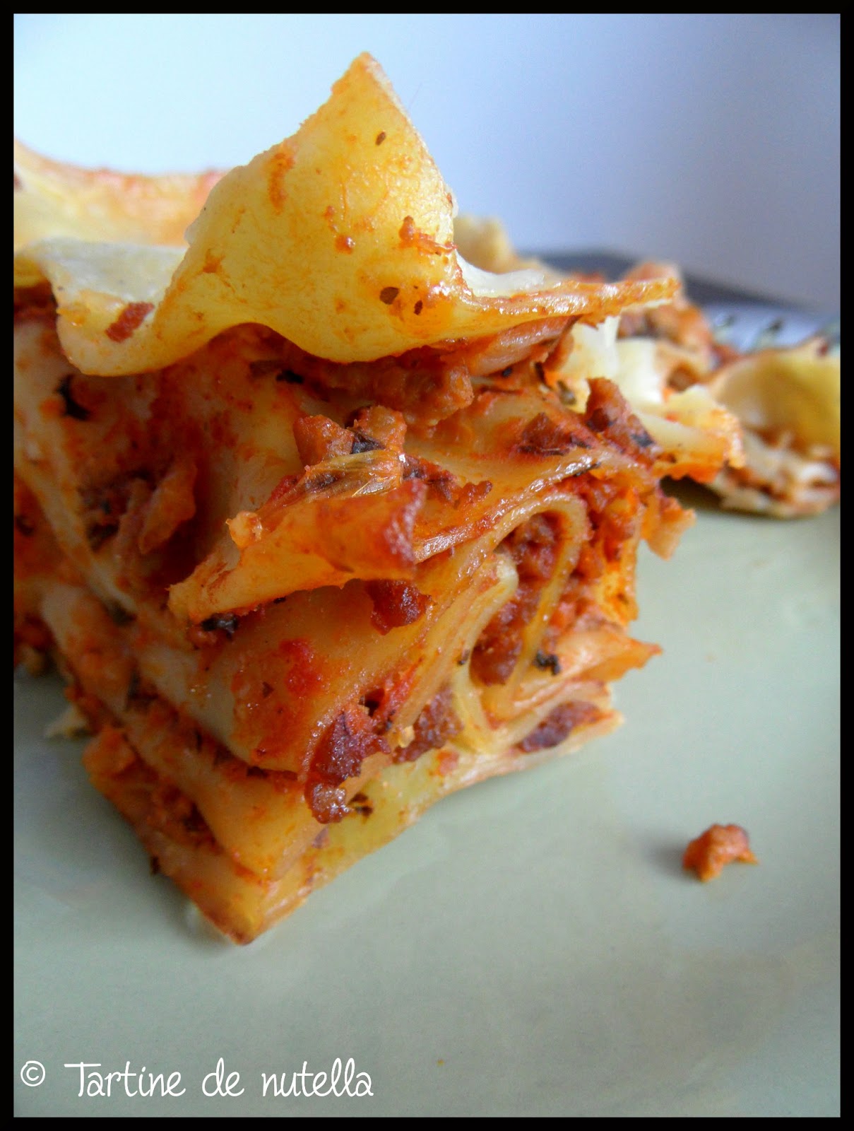 Lasagnes viande et légumes (ou comment faire manger de ces bêbêtes là à ceux qui n