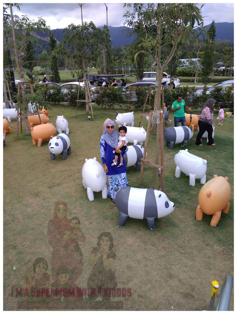 Banyaknya beruang comel di EcoForest, Broga Hills Semenyih. Banyaknya beruang comel di EcoForest, Broga Hills Semenyih.