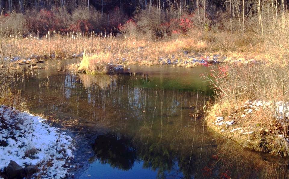 when love comes to town And the trees shall clap their hands...