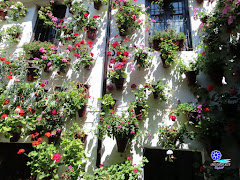 Patios de Córdoba