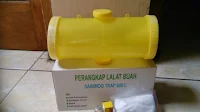 budidaya semangka inul, buah semangka redin 09, jual muarah benih, lmga agro