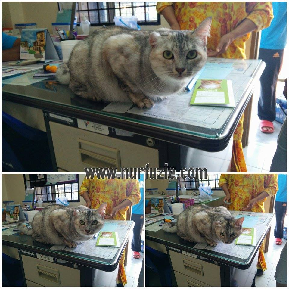 Ubat Cacing Di Klinik Kesihatan Jurupulih 0