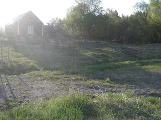 Morgonpromenad%2B%25285%2529 - Dagens morgonpromenad