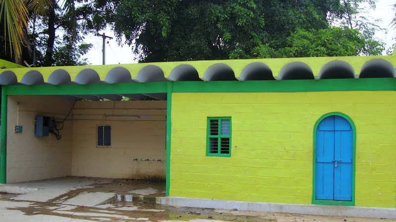 Home Design Images And Photos: Home Design Alternatives Sheds