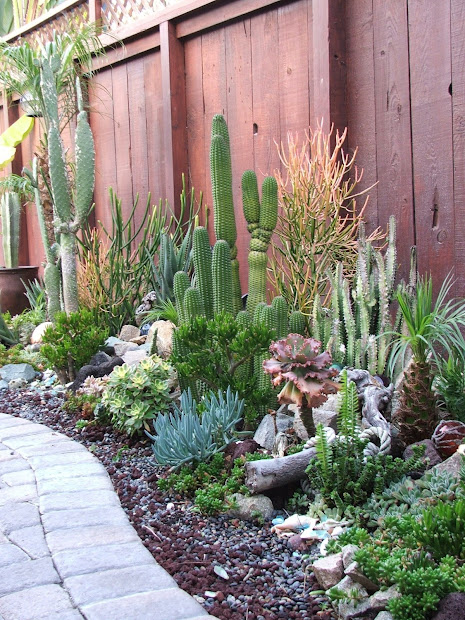 garden and bliss ocean theme landscaping