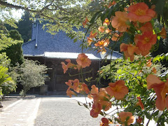 妙本寺のノウゼンカズラ