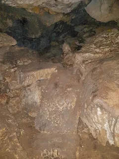 Cova de la figuera