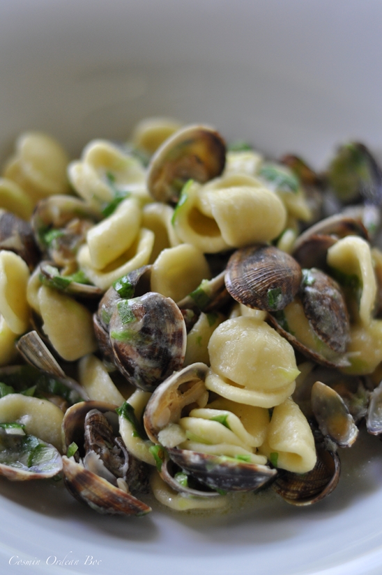 Orechiette con vongole