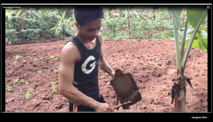 Macam Status Angkola Facebook: Hoe Inggiris, Cangkul Indonesia, Pacul