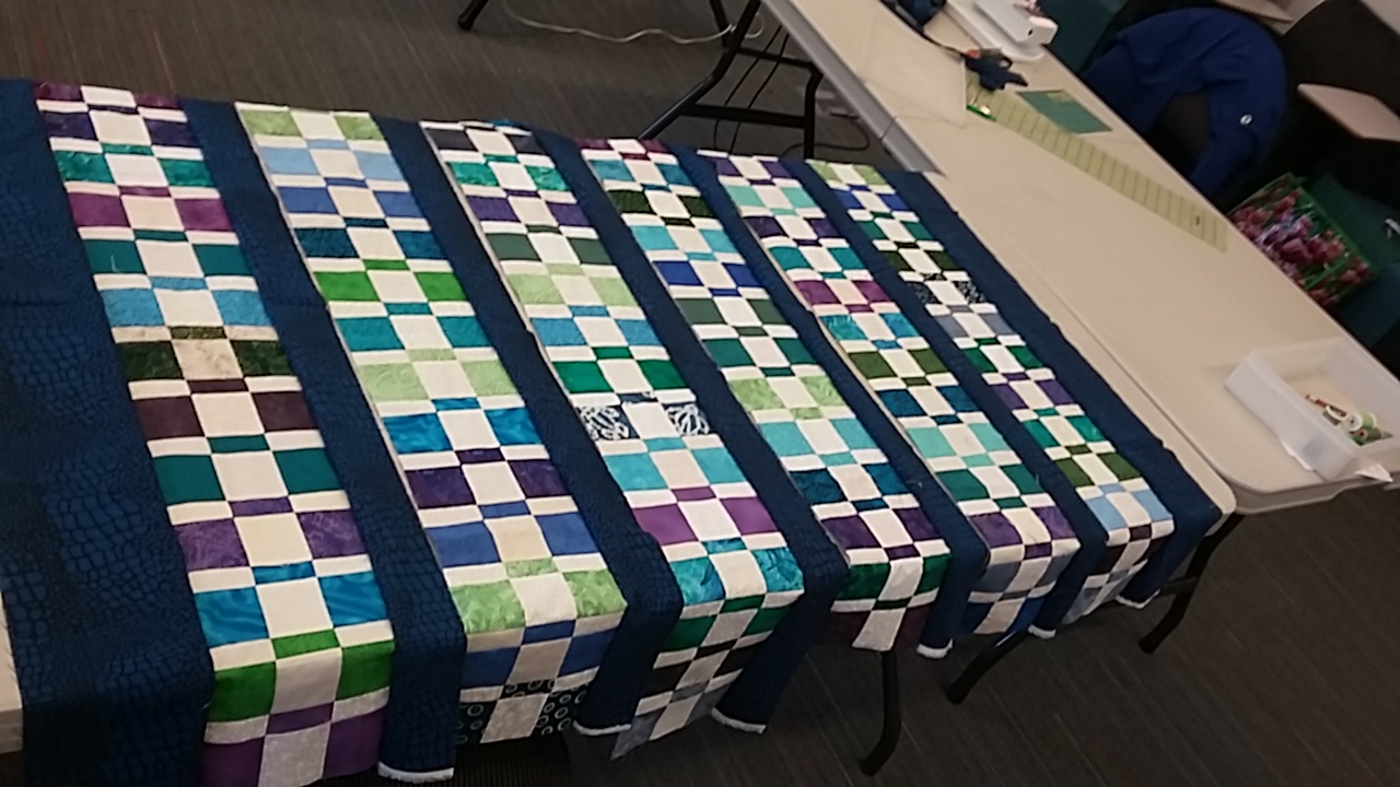 Nanaimo Modern Quilt Guild 2017