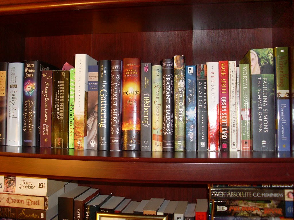 The Written World My New Bookcase