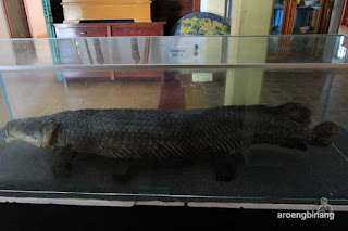 museum tanjungpandan belitung