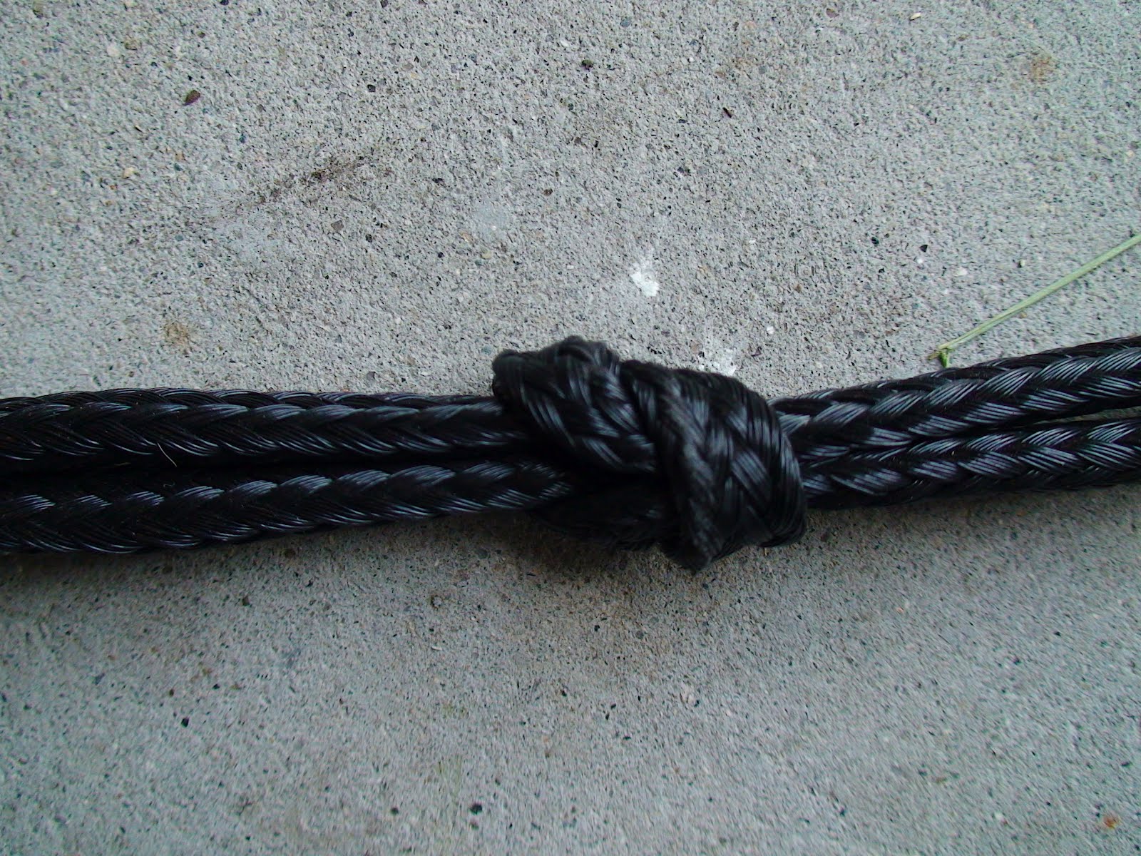 The Super Awesome Blog of Dogventuring Homemade "Scooter Noodle"