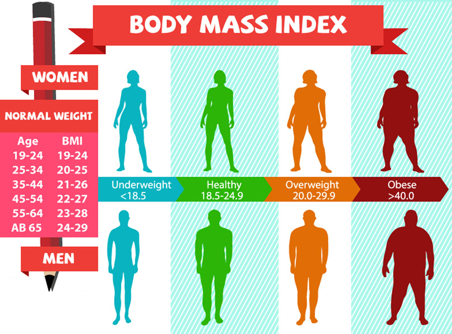 Body Mass Index Calculation for Weight Status - Weight Loss Programs