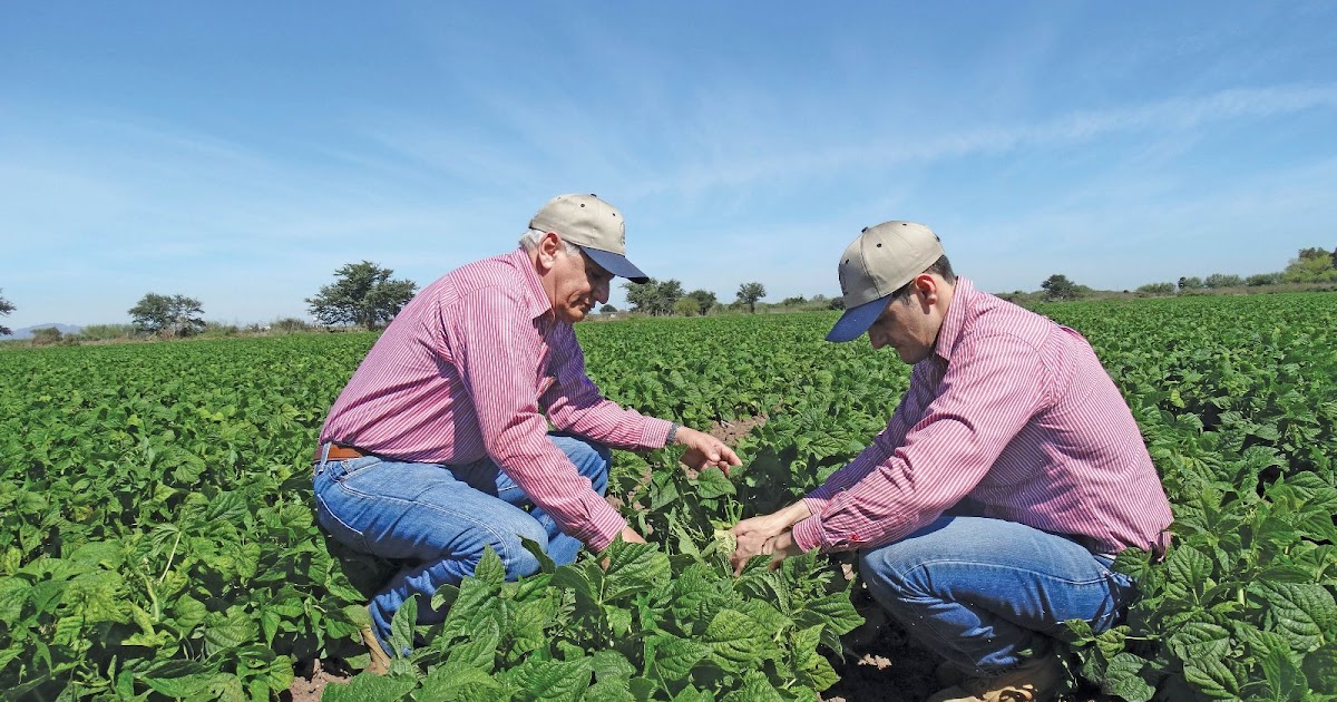 MODO AGRARIO ¿QUÉ ES LA AGRONOMÍA?