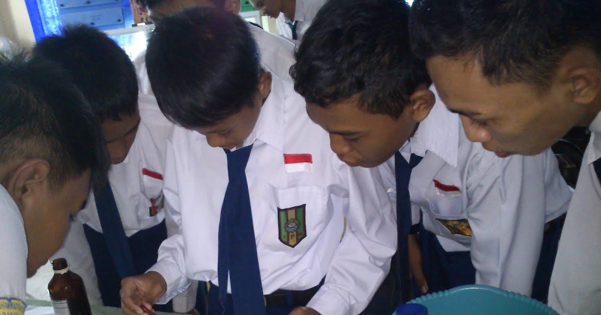 Professor Link: Laporan Praktikum Uji kandungan Bahan Makanan