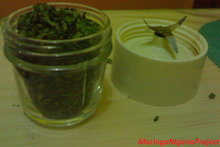 moringa capsules