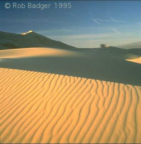 Free 3D Windows Xp Wallpapers,Vista,Nature,Animals,Fun,Entertainment