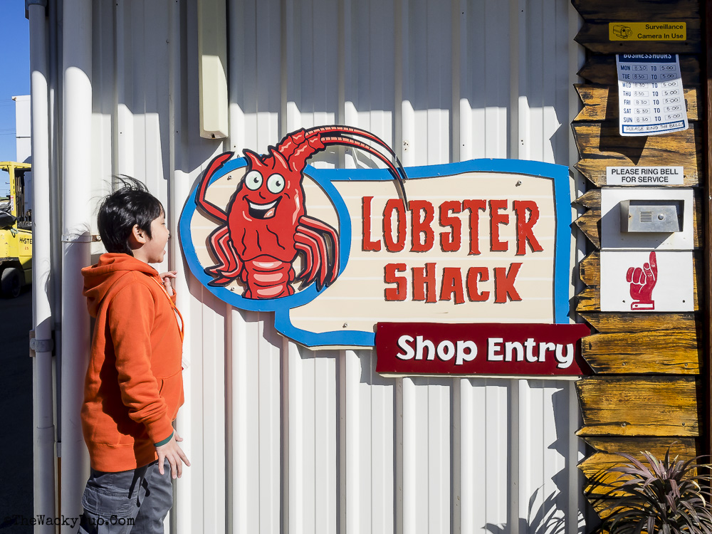 Pinnacles, Lancelin Dunes and Lobster Shack tour Review TheWackyDuo