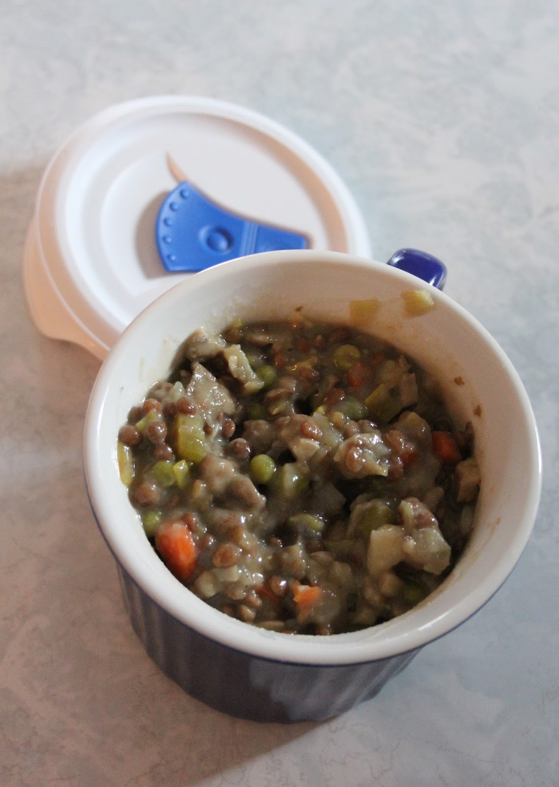 Jo and Sue Vegetarian Mushroom and Lentil Pot Pie