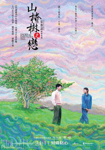 Phim Chuyện Tình Cây Sơn Tra - Under The Hawthorn Tree (2010)