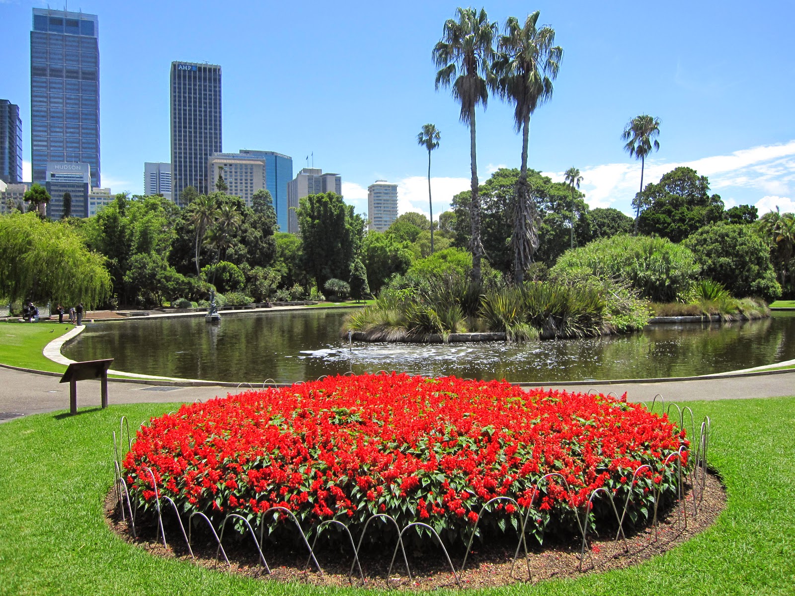 Sydney City and Suburbs Botanic Gardens, Main Pond, flowers