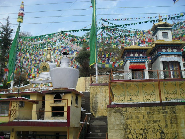 храм в Дхарамсале, рядом с дворцом Далай ламы
