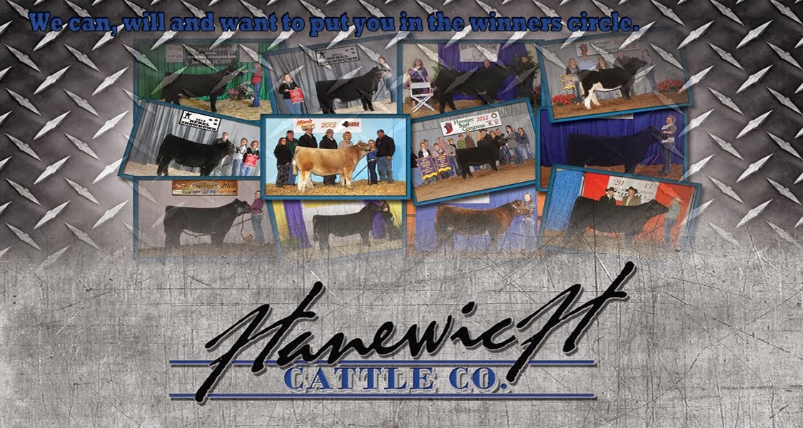 Hanewich Cattle Co.