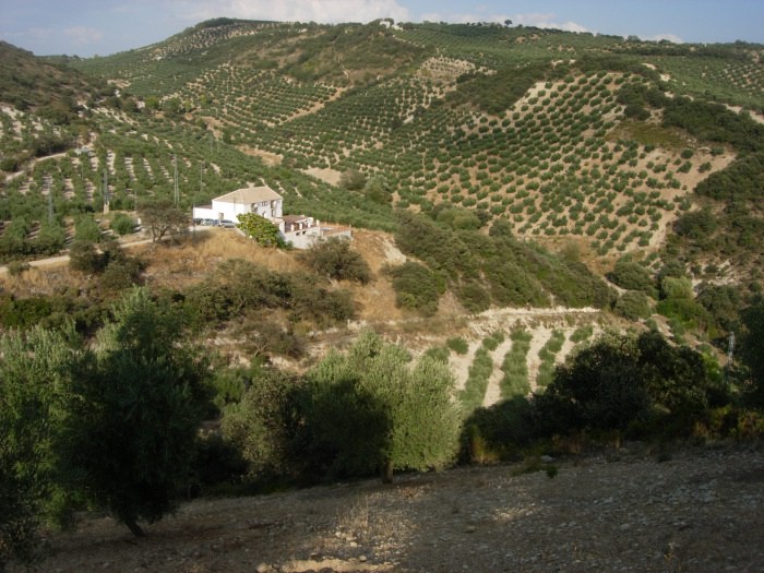 Properties for Sale in Spain, Property sales in all parts of Spain