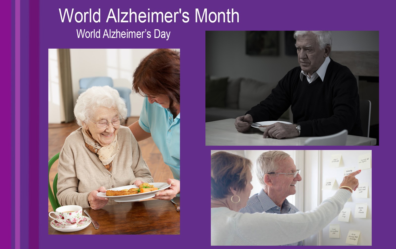 Dietitians Online Blog World Alzheimer's Month Eating Challenges