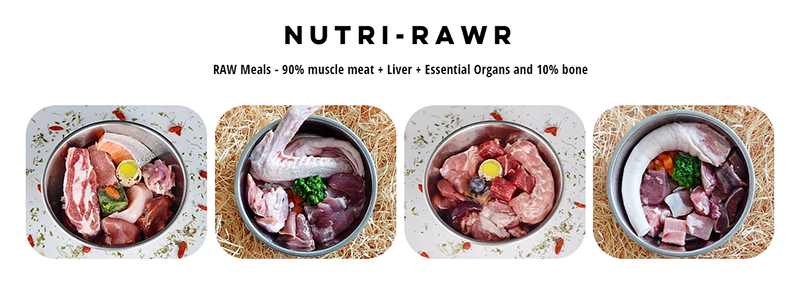 Raw Meat for Dogs Singapore