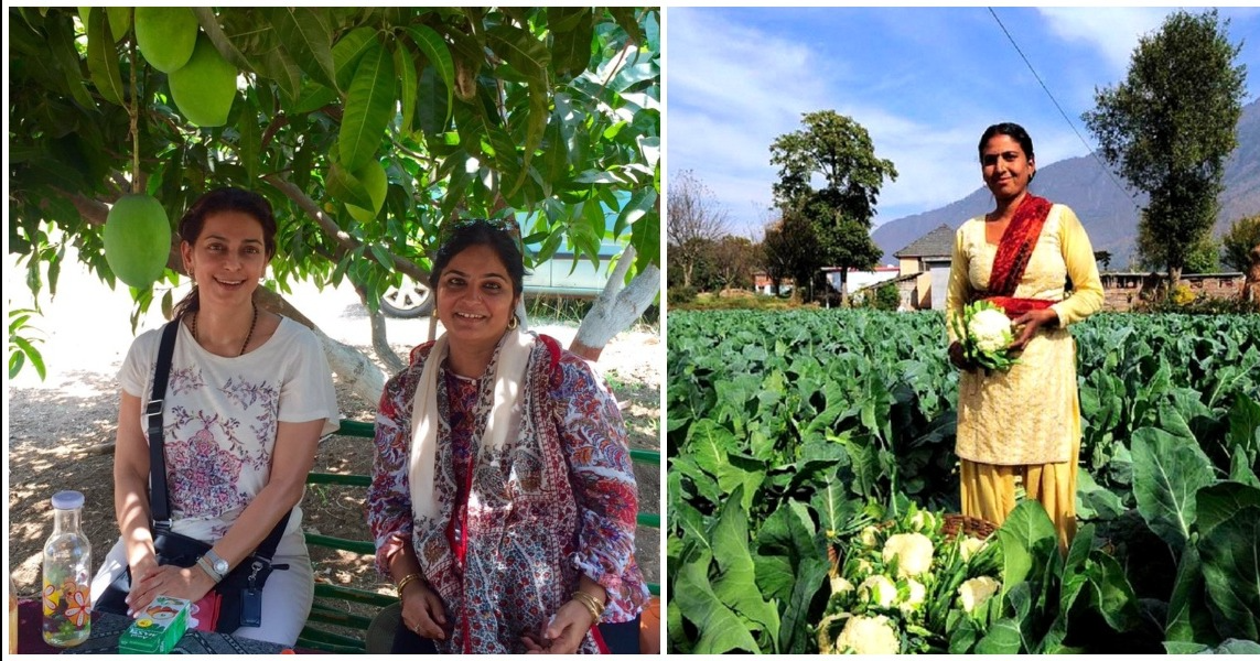 फिल्मो की ये सुपर स्टार हुयी खेती करने को मजबूर ,यहाँ जाने उनकी मजबूरी का  कारन - Bollywood Remind | bollywood breaking news in hindi ,social trade  news , bollywood news ,bollywood