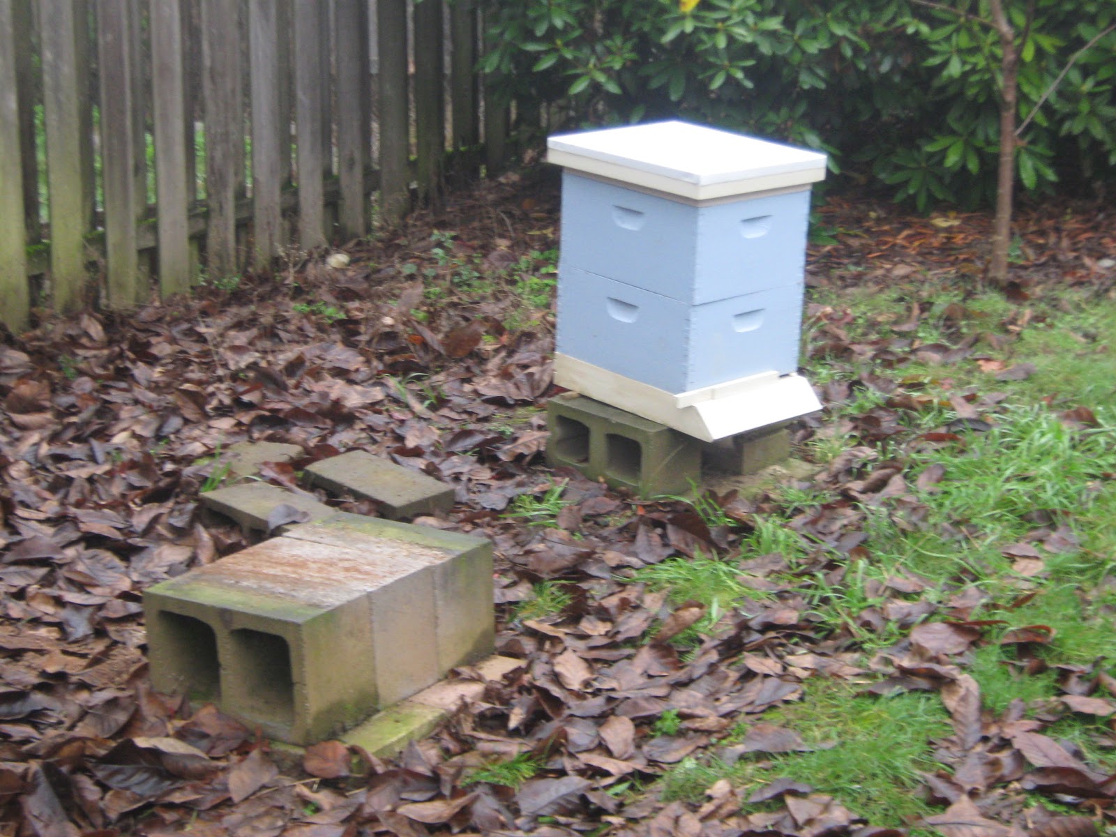 Simply Resourceful Moving Bee Hives and Saying Goodbye