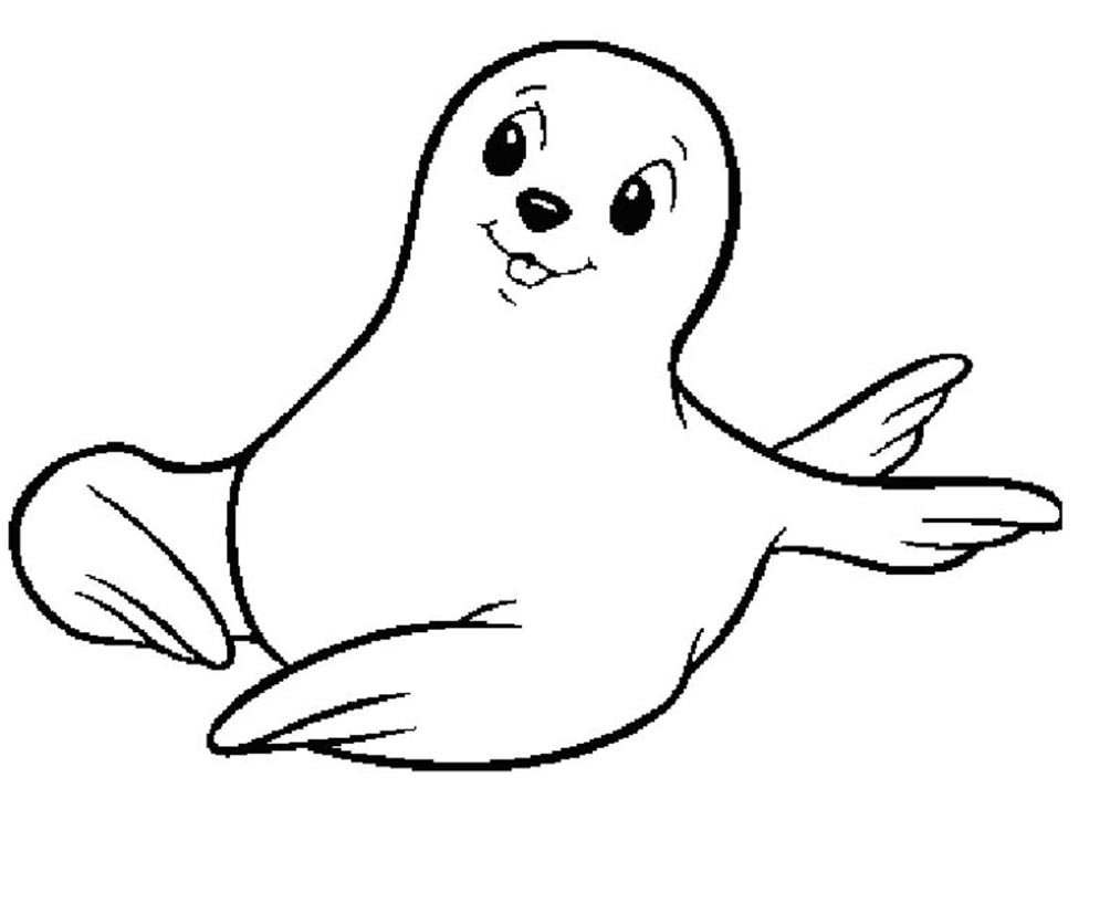 Suvve: Desenho de foca para imprimir e colorir, desenho de animal grátis