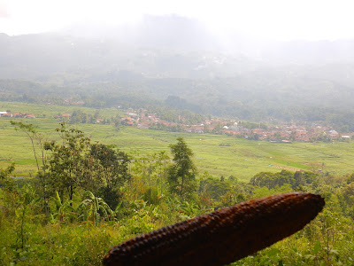 adheb's photo adheb's photo