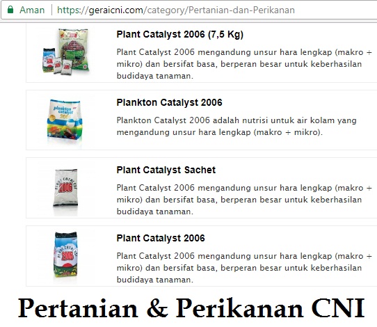 Bisnis CNI Online: Menggali Potensi Pasar Digital untuk Keberhasilan Jangka Panjang