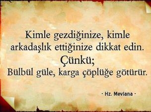 guvenilir cinsel bilgiler