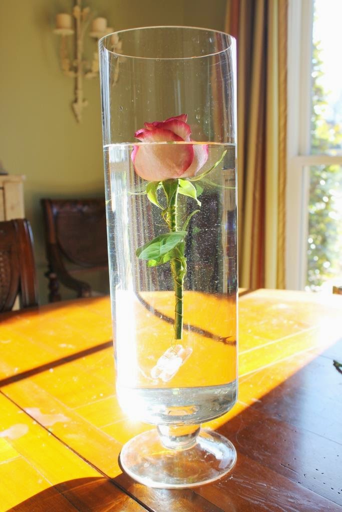 How To Submerge Flowers Miss Kopy Kat